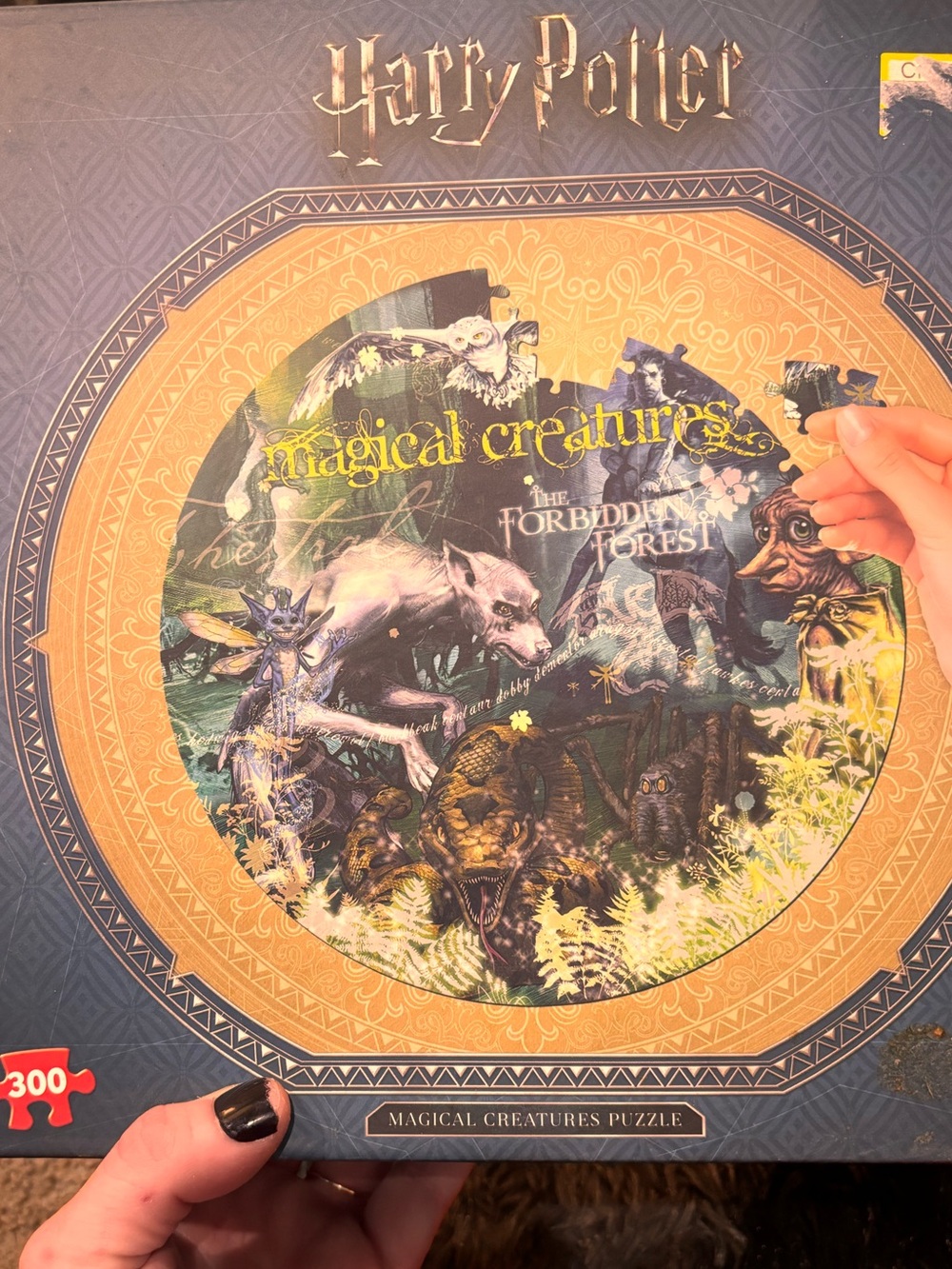 Harry Potter puzzles